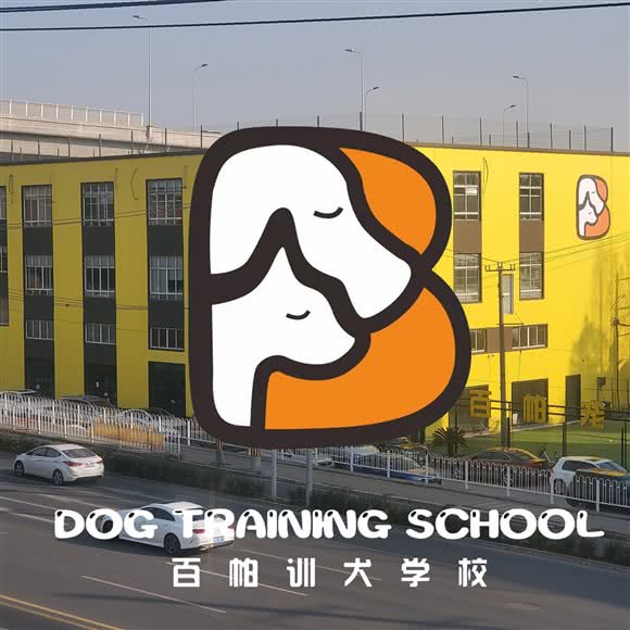百帕?宠物寄养训练乐园:上海城区闵行区莘庄附近