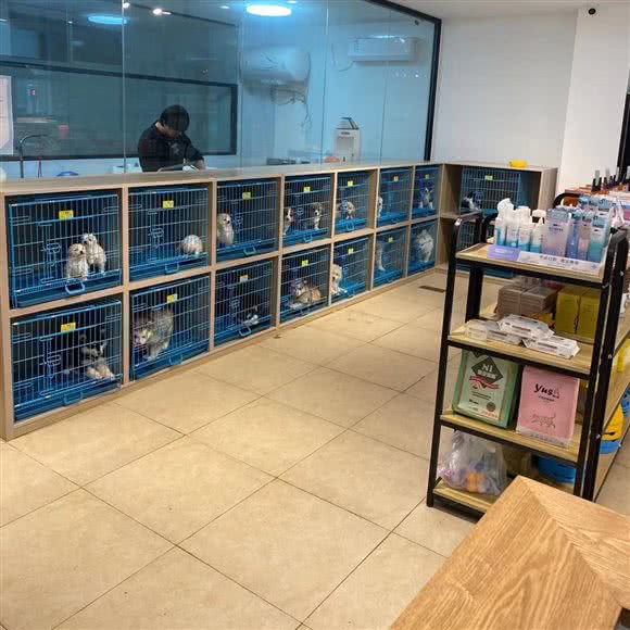萌新宠物(松江店):上海城区闵行区莘庄附近