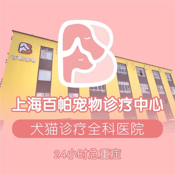 百帕狗狗诊疗中心:上海城区闵行区莘庄附近