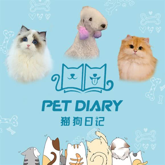 猫狗日记·萌宠专售(闵行店):上海城区闵行区莘庄附近