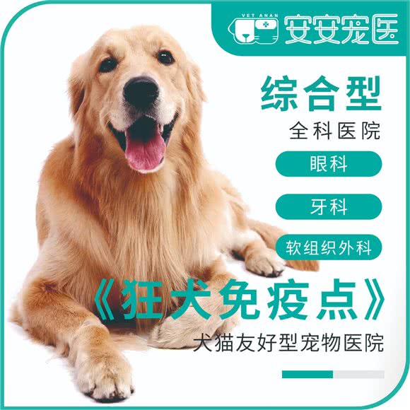 安安宠医狂犬免疫点(翌景分院全科中心):上海城区闵行区莘庄附近