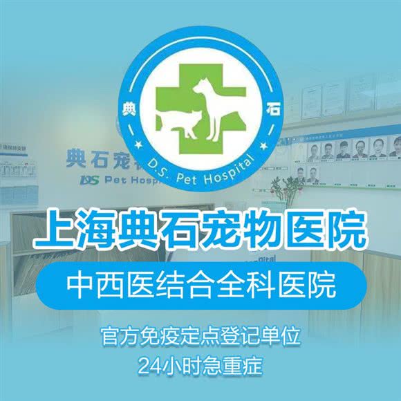 典石宠物医院·中西结合·疑难骨科·外科·综合内科·猫友好医院(莘庄分院):上海城区闵行区莘庄附近
