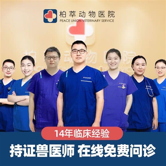 上海柏萃动物医院:上海城区闵行区莘庄附近