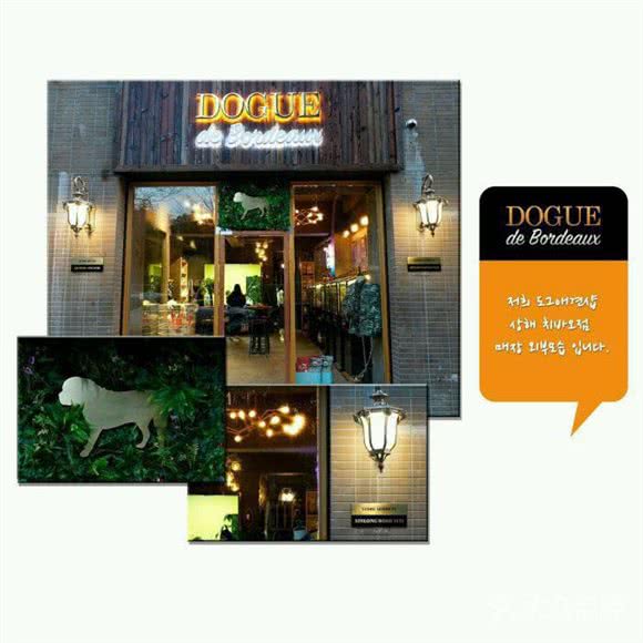 DOGUE宠物主题馆(新龙路店):上海城区闵行区七宝附近