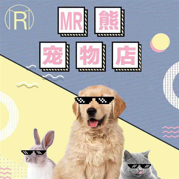 MR熊宠物店:上海城区闵行区七宝附近