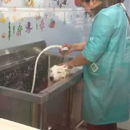 宠ai有jia生活馆:上海城区闵行区七宝附近