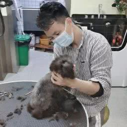 麦萌宠屋:上海城区闵行区七宝附近