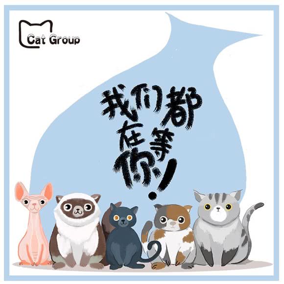 Cat Group:上海城区闵行区七宝附近
