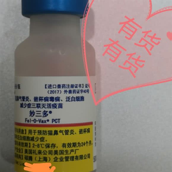 丁香宠物医院普外科骨科转诊中心24小时:上海城区闵行区七宝附近