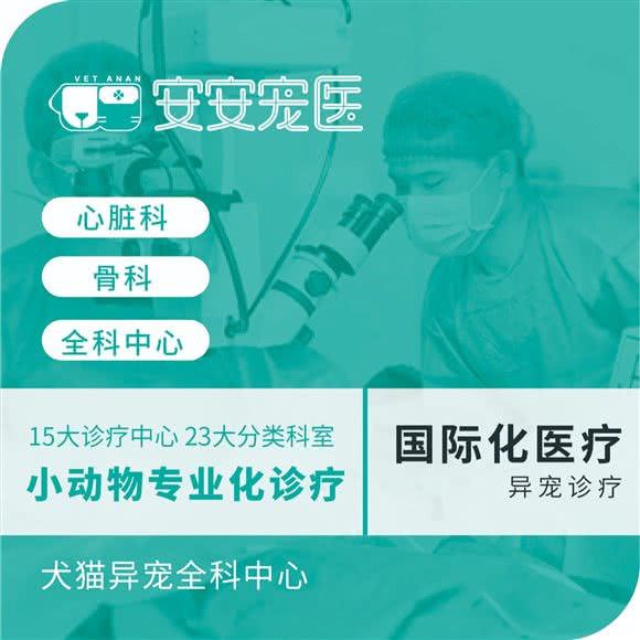 安安宠医·健平宠物医院(犬猫异宠全科中心·骨科·心肾内科):上海城区闵行区七宝附近