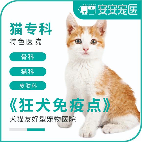 安安宠医狂犬免疫点(金平路分院):上海城区闵行区老闵行/交大师大附近