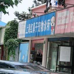 红鼻子宠物诊所(闵行店):上海城区闵行区老闵行/交大师大附近