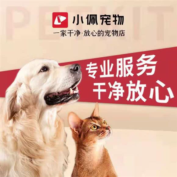 PETKIT小佩狗狗:上海城区闵行区莲花路/南方商城附近