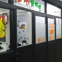 阳阳萌宠:上海城区闵行区莲花路/南方商城附近