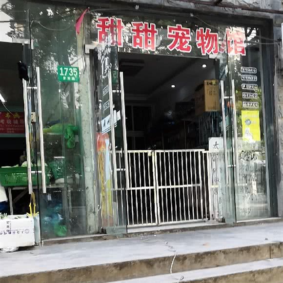 甜甜宠物馆:上海城区闵行区莲花路/南方商城附近
