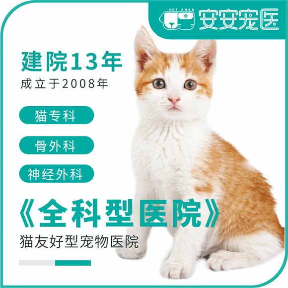 安安宠医·24小时鹏峰宠物医院:上海城区闵行区莲花路/南方商城附近