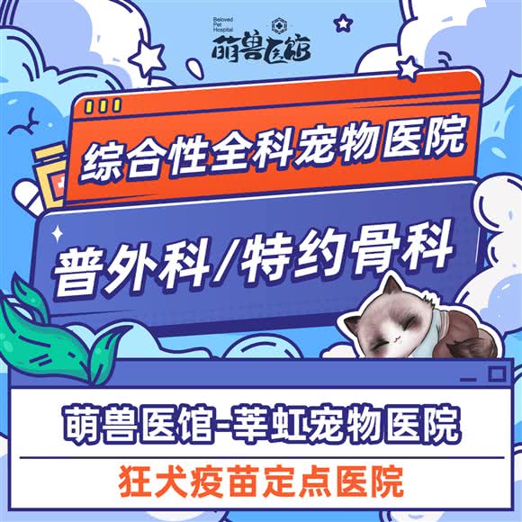 萌兽医馆·莘虹宠物医院(普外科·小动物康复中心):上海城区闵行区莲花路/南方商城附近