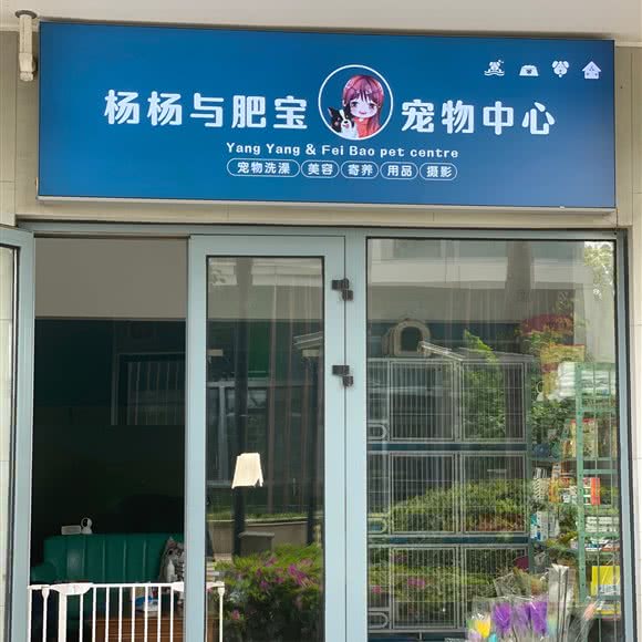 杨杨与肥宝宠物中心:上海城区闵行区浦江镇附近