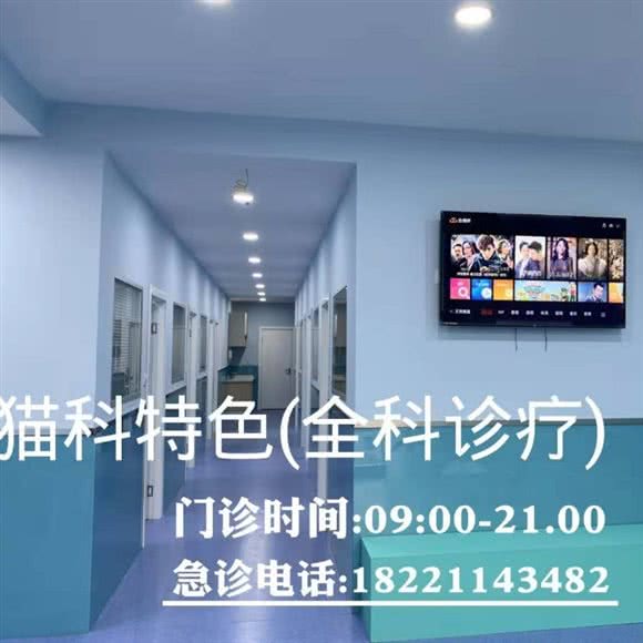 忆嘉宠物医院:上海城区闵行区浦江镇附近
