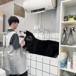 派多格宠物(东兰路店):上海城区闵行区虹梅路附近