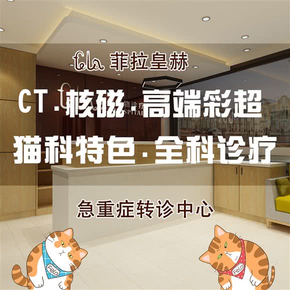 菲拉皇赫宠物医院·ct·核磁·彩超·急重症转诊中心·猫科特色:上海城区闵行区虹梅路附近