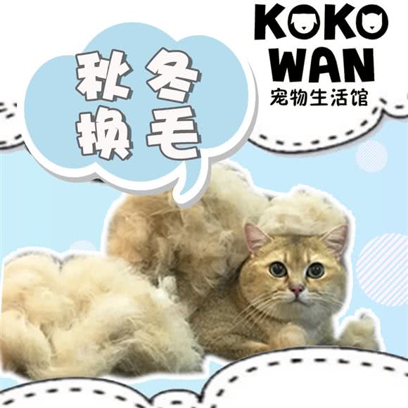 KOKO