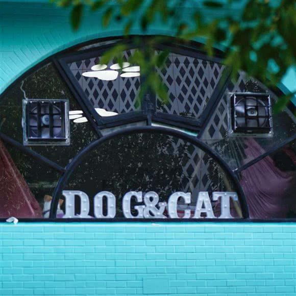 DOCA嘟咔宠托所:上海城区闵行区春申地区附近