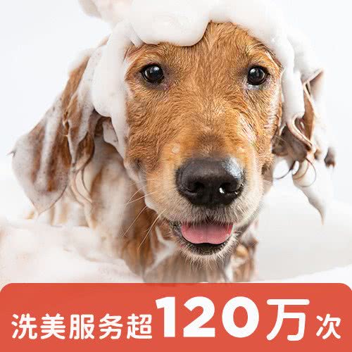 宠物家(清河永泰店):北京城区海淀区清河附近