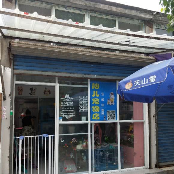仙儿宠物店:上海城区闵行区吴泾镇附近