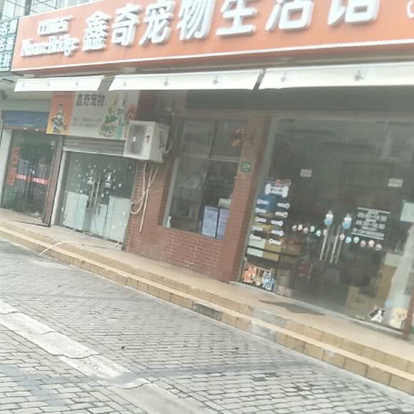 鑫奇狗狗生活馆:上海城区闵行区吴泾镇附近