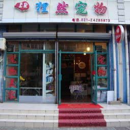 狸然宠物:上海城区闵行区吴泾镇附近
