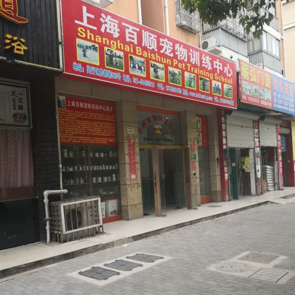 百顺宠物训练教会学校:上海城区闵行区颛桥/北桥附近