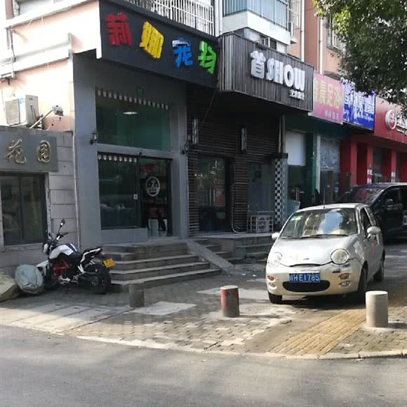 莉娜宠物(贵都路店):上海城区闵行区颛桥/北桥附近