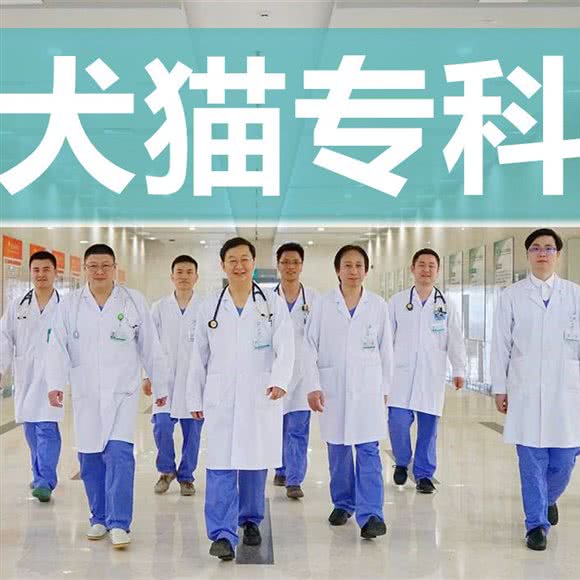莘贵宠物诊所(骨科·心脏):上海城区闵行区颛桥/北桥附近
