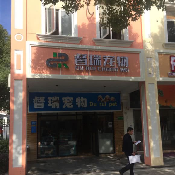 督瑞宠物:上海城区闵行区华漕附近