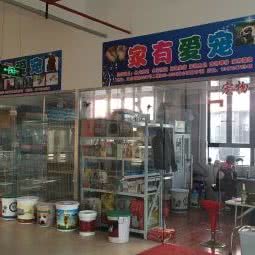 家有爱宠:上海城区闵行区华漕附近