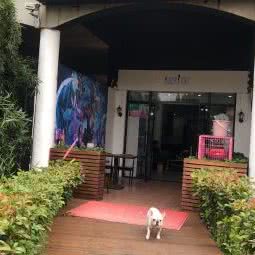 ladycat:上海城区闵行区交大闵行校区附近