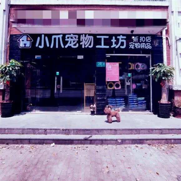 小爪宠物工坊(浦江江文路店):上海城区闵行区闵浦附近