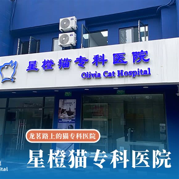星橙猫专科医院:上海城区闵行区合川路附近