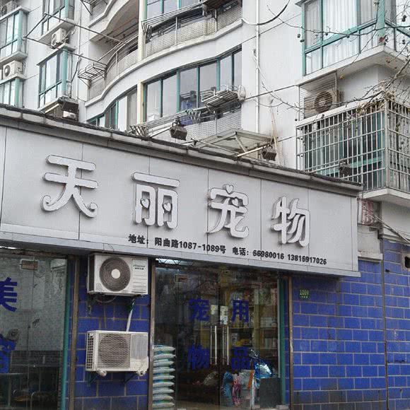 天丽宠物形象设计:上海城区宝山区庙行/共康附近