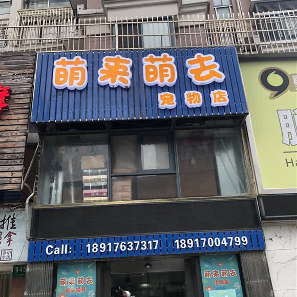 萌来萌去:上海城区宝山区庙行/共康附近