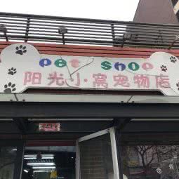 阳光小窝宠物店:北京城区海淀区上地附近