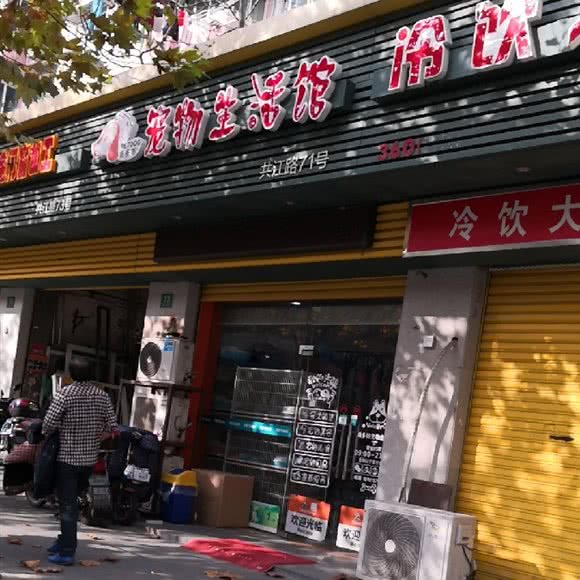 派多格宠物生活馆:上海城区宝山区通河/泗塘附近