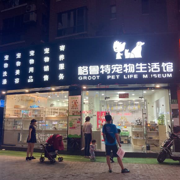 格鲁特和宠物生活馆:上海城区宝山区顾村公园附近