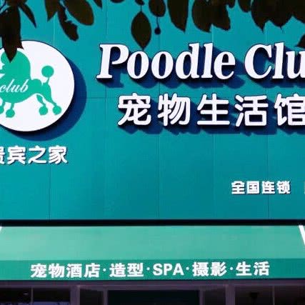 Poodle Club贵宾之家宠物狗生活馆:上海城区宝山区顾村公园附近