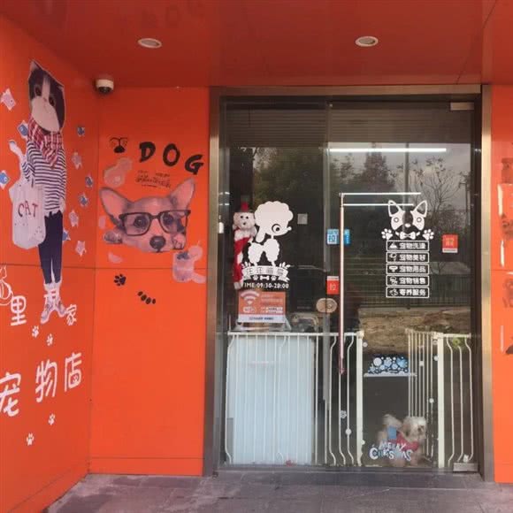 旺旺喵喵宠物店·宠物杂货铺:上海城区宝山区顾村公园附近