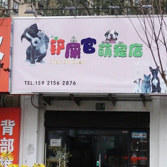 铲屎官萌宠店:上海城区宝山区顾村公园附近