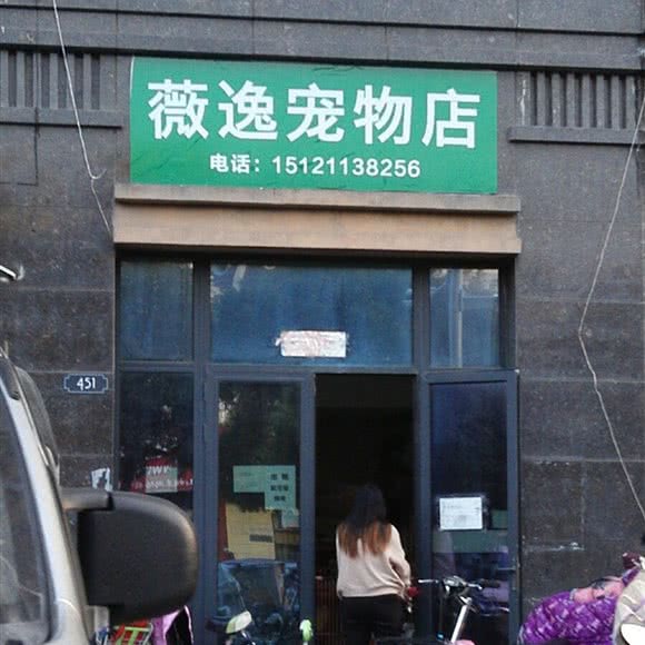 妮娜逸宠物店:上海城区宝山区顾村公园附近