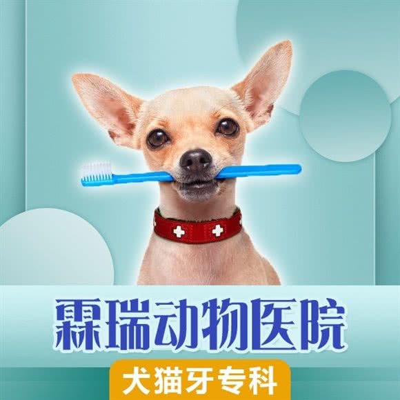北京霖瑞动物医院(西城店):北京城区西城区虎坊桥附近