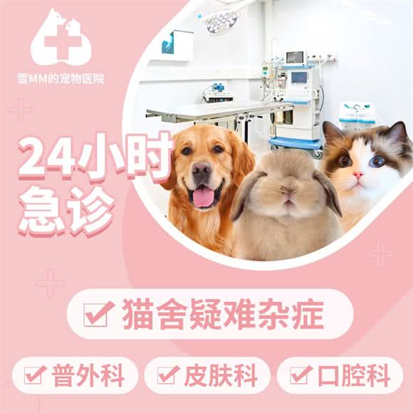 雪mm的宠物医院急重症·骨科·尿道科·综合性全科医院24H:上海城区宝山区高境附近